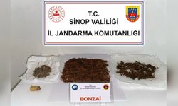 SİNOP’TA ZEHİR OPERASYONU