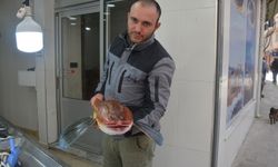 SİNOP’TA 5 KİLOGRAMLIK KIRLANGIÇ BALIĞI  YAKALANDI