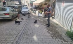 KENDİ İMKANLARIYLA YAKLAŞIK 20 KEDİ BESLİYOR