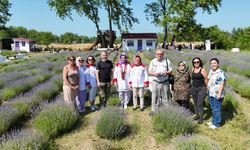 SİNOP’UN MUTFAK KÜLTÜRÜNE LAVANTA DOKUNUŞU