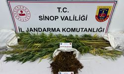 SİNOP’TA 425 GRAM KUBAR ESRAR VE 56 KÖK KENEVİR BİTKİSİ ELE GEÇİRİLDİ