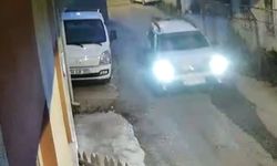 YOLA ÇIKAN YAVRU KEDİYİ EZİP KAÇTI! ANNESİ MİYAVLAYARAK YARDIM İSTEDİ