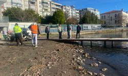 SİNOP’TA DENİZ YÜZEYİNDE GÖRÜLEN KİRLİLİK VATANDAŞLARI ENDİŞELENDİRDİ