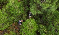 MANTAR TOPLAYAN VATANDAŞLAR DRONE İLE GÖRÜNTÜLENDİ