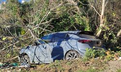 SİNOP’TA KONTROLDEN ÇIKAN OTOMOBİL AĞAÇLIK ALANA DEVRİLDİ