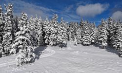 SİNOP’TAN KAR MANZARALARI