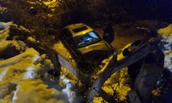 SİNOP'TA BUZLANAN YOLDA OTOMOBİL DEREYE UÇTU: 1 YARALI