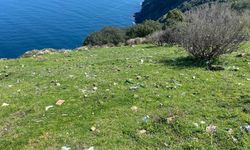 ADABAŞI’NIN GÖRÜNTÜSÜ TEPKİ ÇEKTİ