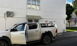 SİNOP'TA YARALI BULUNAN DOĞAN TEDAVİ ALTINA ALINDI