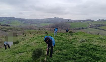 SİNOP'TA YÜKÜMLÜLERDEN GELECEĞE NEFES