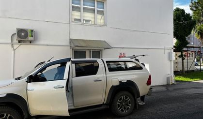 SİNOP'TA YARALI BULUNAN DOĞAN TEDAVİ ALTINA ALINDI