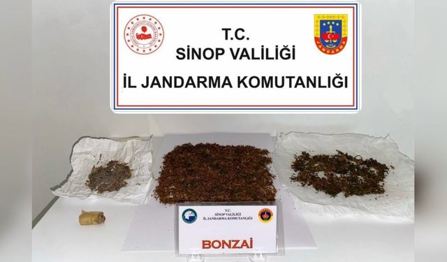 SİNOP’TA ZEHİR OPERASYONU