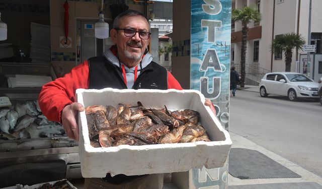 KARADENİZ’İN ÇARPANI TEZGAHLARDA YERİNİ ALMAYA BAŞLADI