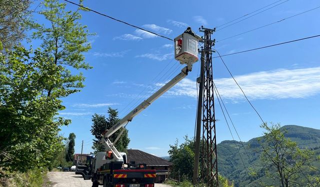 YEDAŞ KURBAN BAYRAMI İÇİN TÜM HAZIRLIKLARINI TAMAMLADI