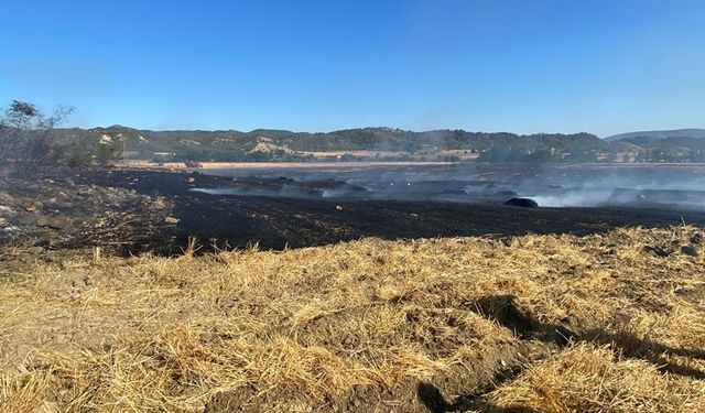 SİNOP'TA ANIZ YANGINI: 60 BALYA SAMAN YANDI