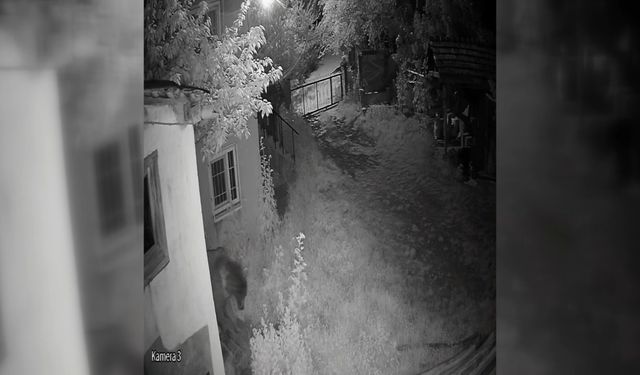 EVİN BAHÇESİNE GİREN AYI KAMERAYA YANSIDI
