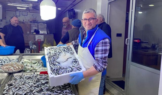 SİNOP’TA HAMSİ FİYATLARI YARIYA DÜŞTÜ