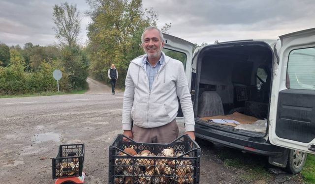 SİNOP’TAN AVRUPA’YA MANTAR İHRACATI