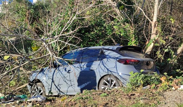 SİNOP’TA KONTROLDEN ÇIKAN OTOMOBİL AĞAÇLIK ALANA DEVRİLDİ