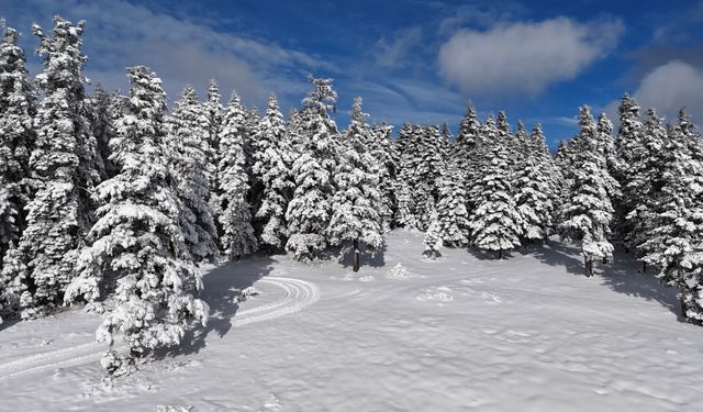 SİNOP’TAN KAR MANZARALARI
