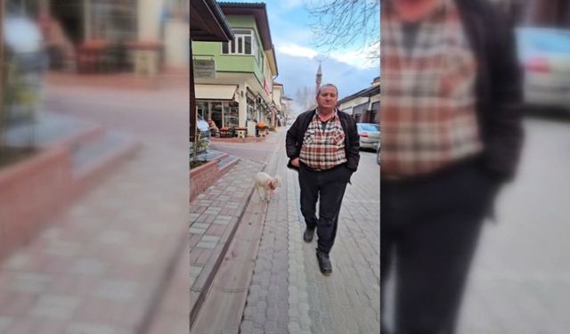 SAHİBİYLE BİRLİKTE DOLAŞAN PAMUK MASKOT OLDU