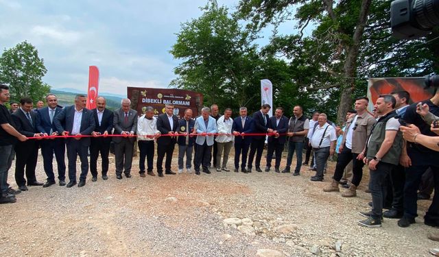 SİNOP'TA TÜRKİYE'NİN 913'NCÜ BAL ORMANI HİZMETE AÇILDI