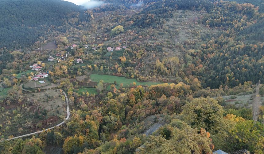 SİNOP’TA SONBAHARDA RENK CÜMBÜŞÜ YAŞANIYOR