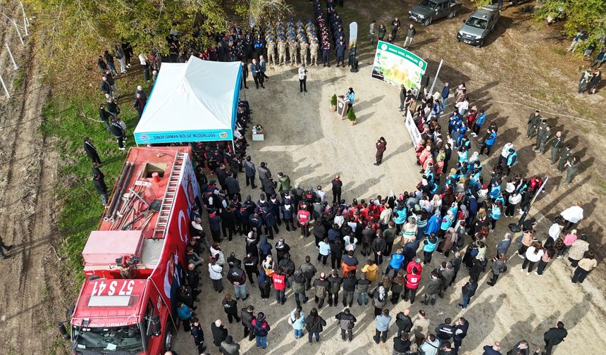 SİNOP’TA 3 BİN 860 FİDAN TOPRAKLA BULUŞTU