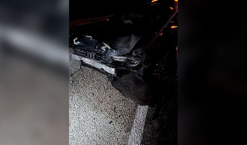 SİNOP BELEDİYE BAŞKANI GÜRBÜZ’ÜN MAKAM ARACI DOMUZ SÜRÜSÜNE ÇARPTI