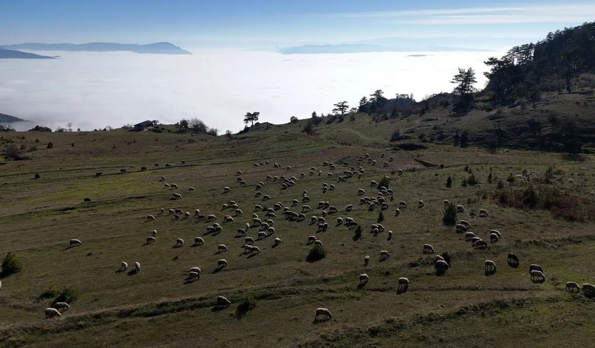 SİNOP’TA SİS DENİZİ BÜYÜLEDİ