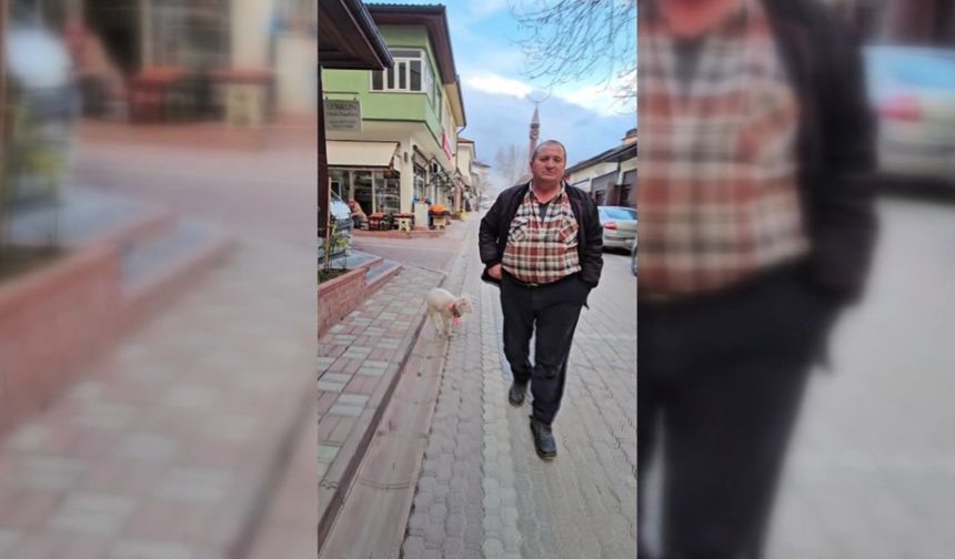 SAHİBİYLE BİRLİKTE DOLAŞAN PAMUK MASKOT OLDU