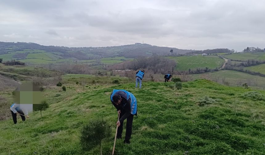 SİNOP'TA YÜKÜMLÜLERDEN GELECEĞE NEFES