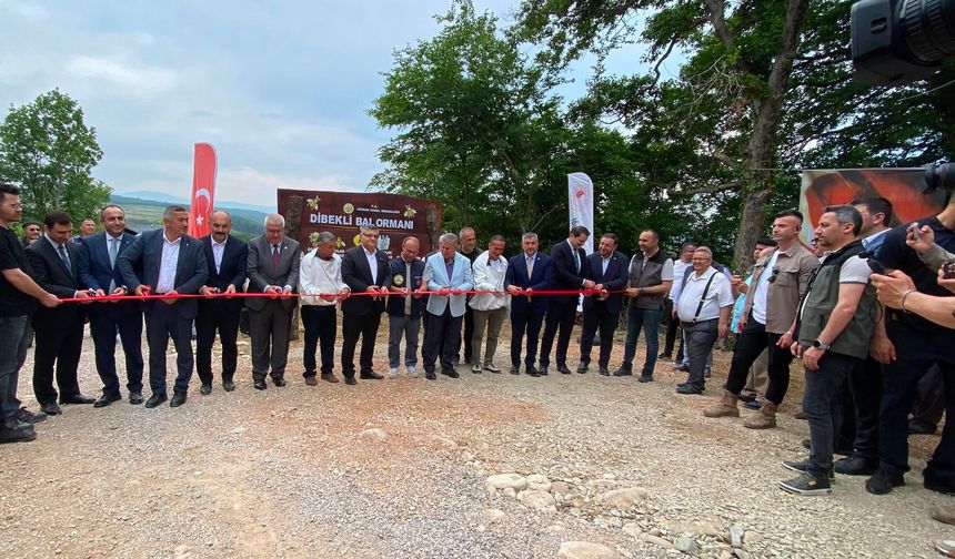 SİNOP'TA TÜRKİYE'NİN 913'NCÜ BAL ORMANI HİZMETE AÇILDI