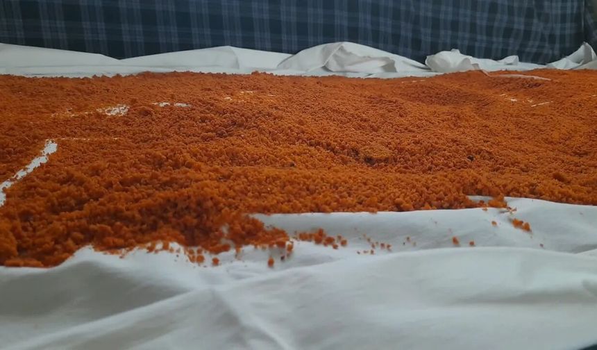 SİNOP'TA KADINLARIN TARHANA MESAİSİ BAŞLADI