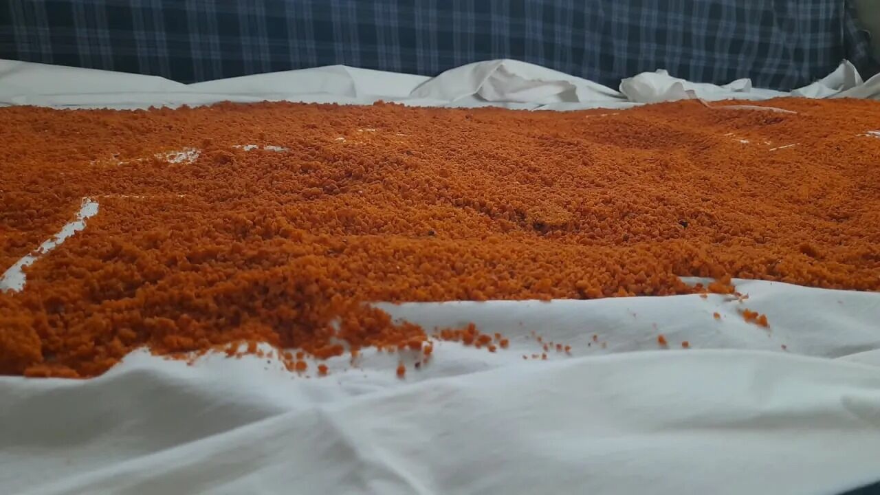 SİNOP'TA KADINLARIN TARHANA MESAİSİ BAŞLADI